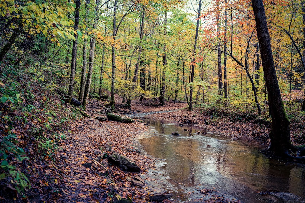 Kanawha State Forest