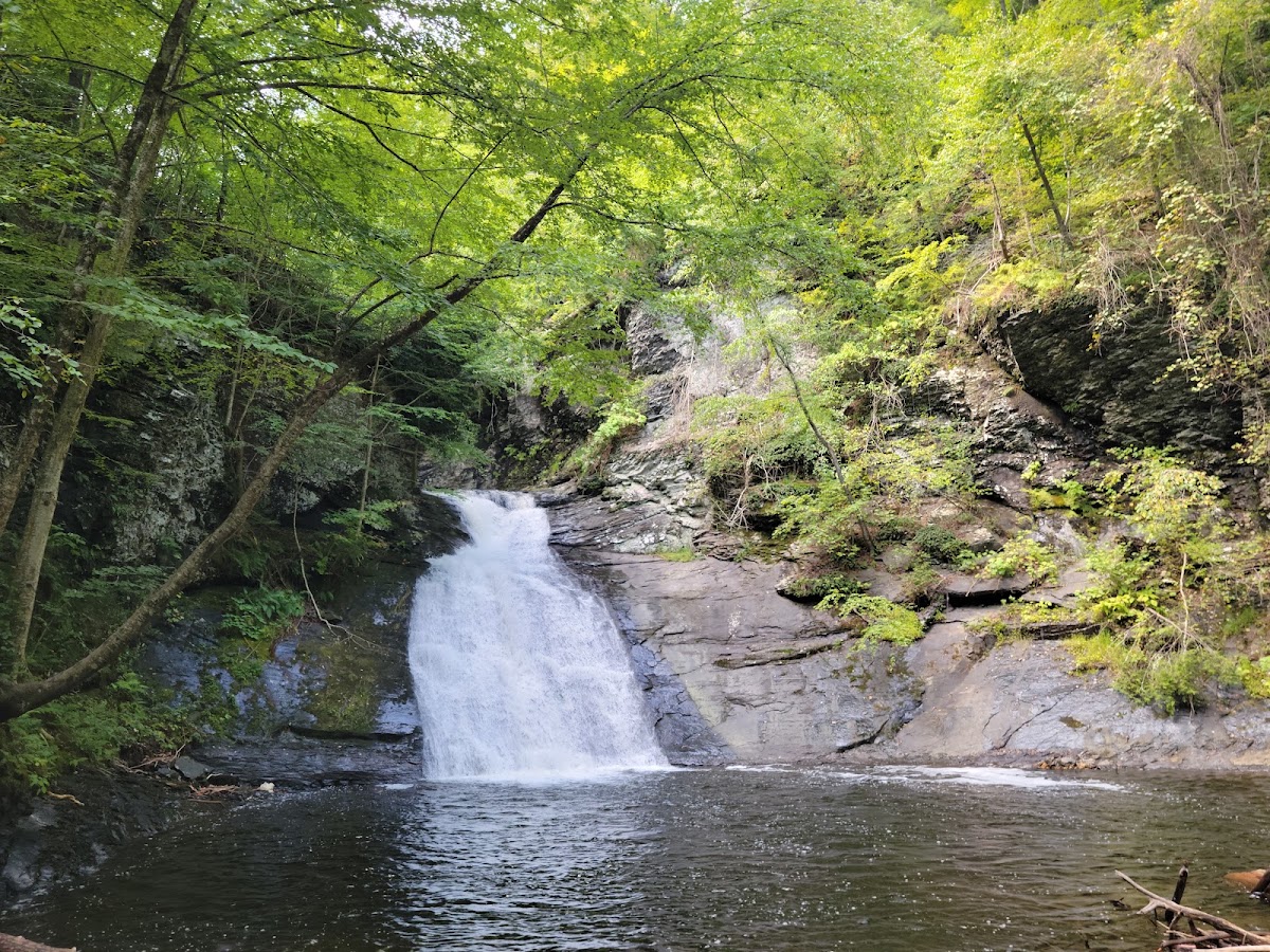Hornbecks Creek Trail
