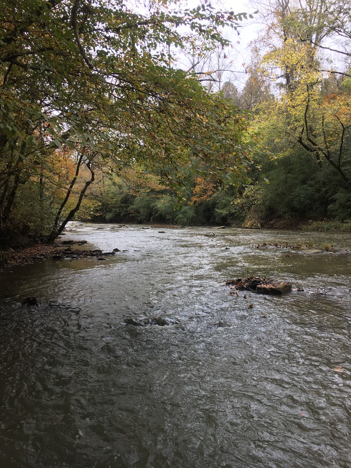 Gurley Creek