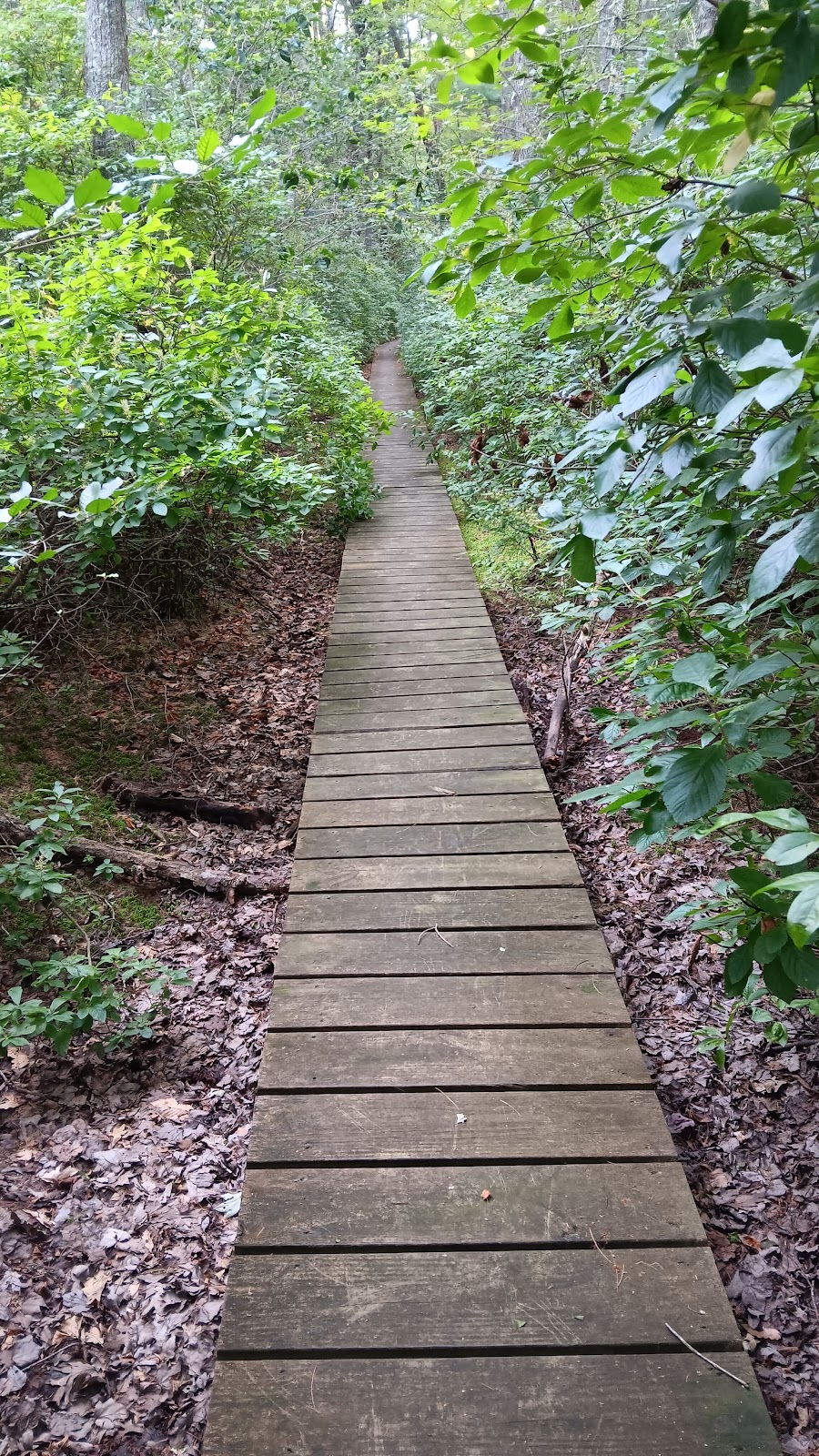 Great Woods Conservation Area