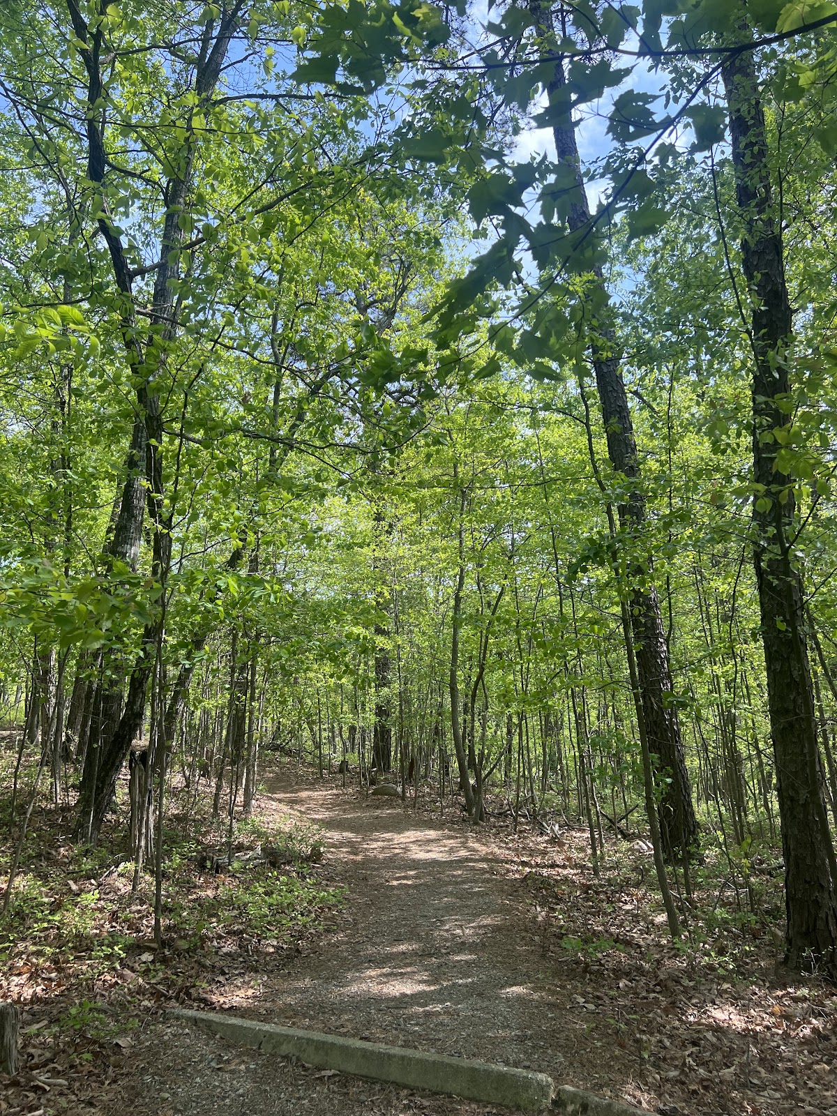Buck Mountain Trail
