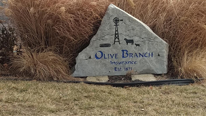 Olive Branch