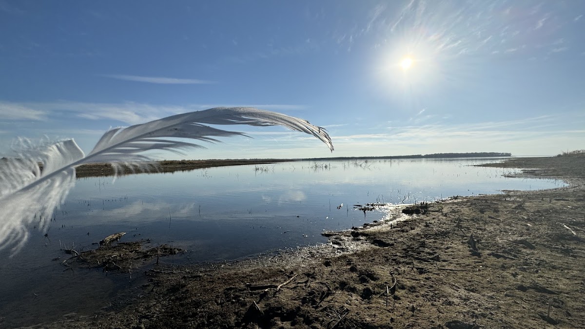 Bois D'Arc Lake