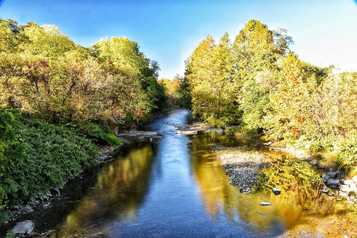 Cayuta Creek