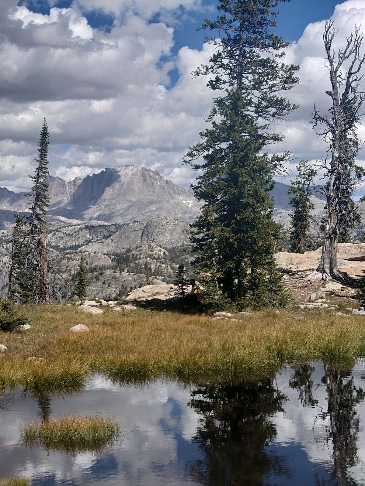 Pole Creek
