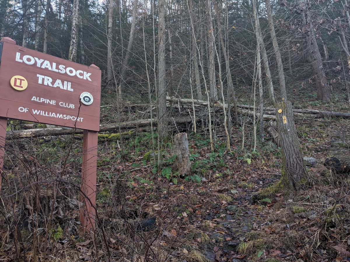 Loyalsock Trail