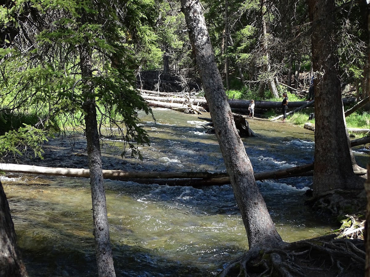 Lava Creek