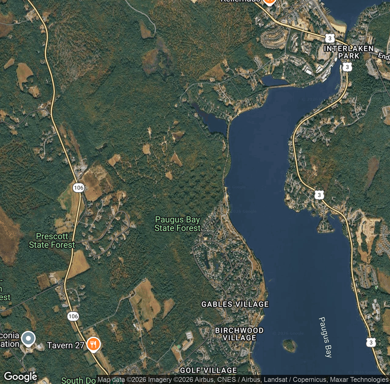 Paugus Bay State Forest