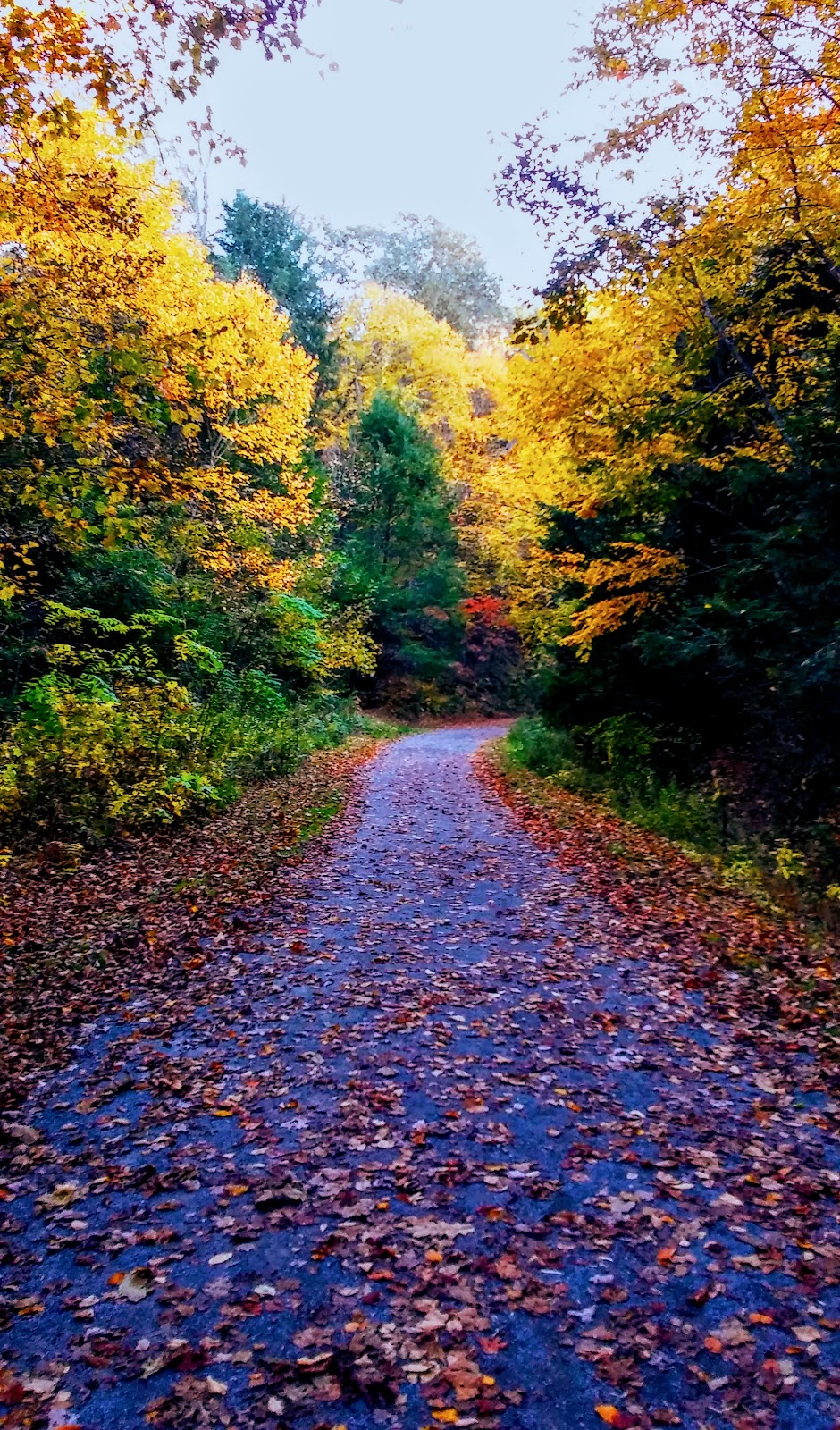 Guest River Gorge Trail