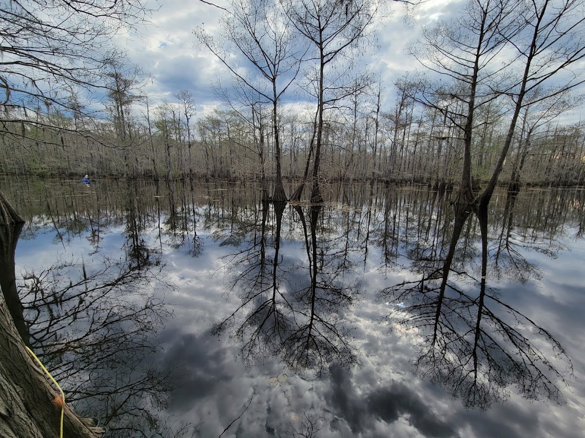 Lake Iatt