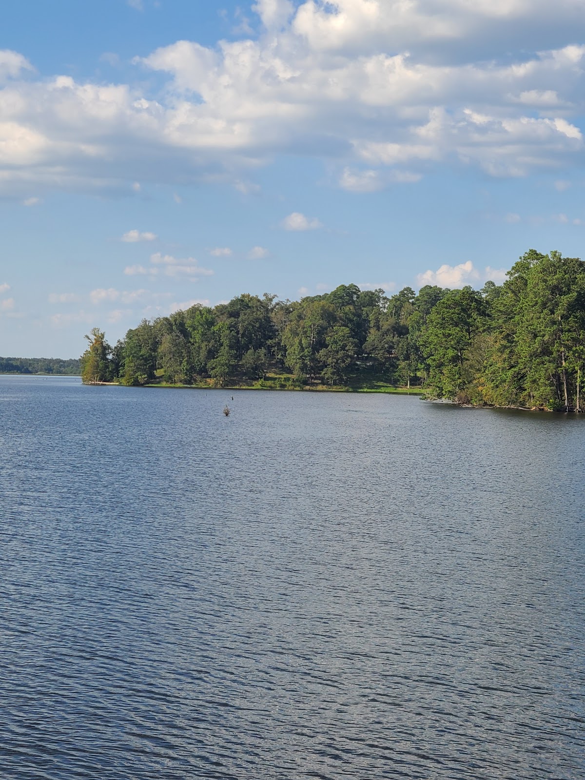 Cotile Lake