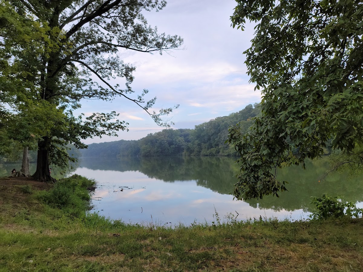 Meeman-Shelby Forest State Park