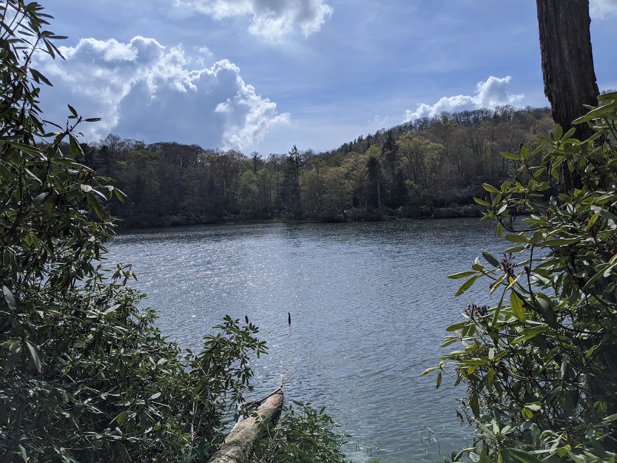Trout Lake