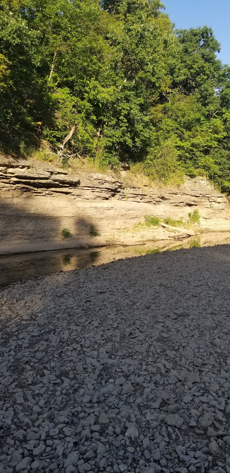 Elk Fork Salt River