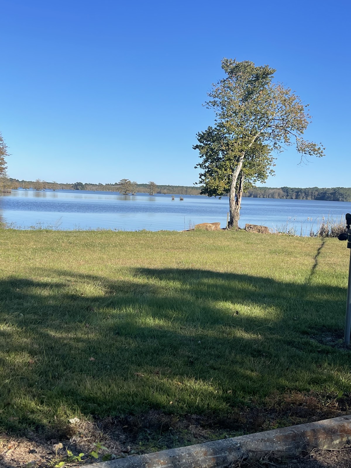 Lake Bogue Homa
