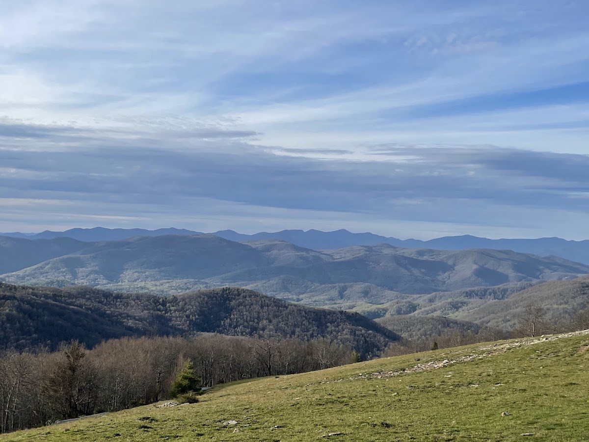 Bearwallow Mountain Trail