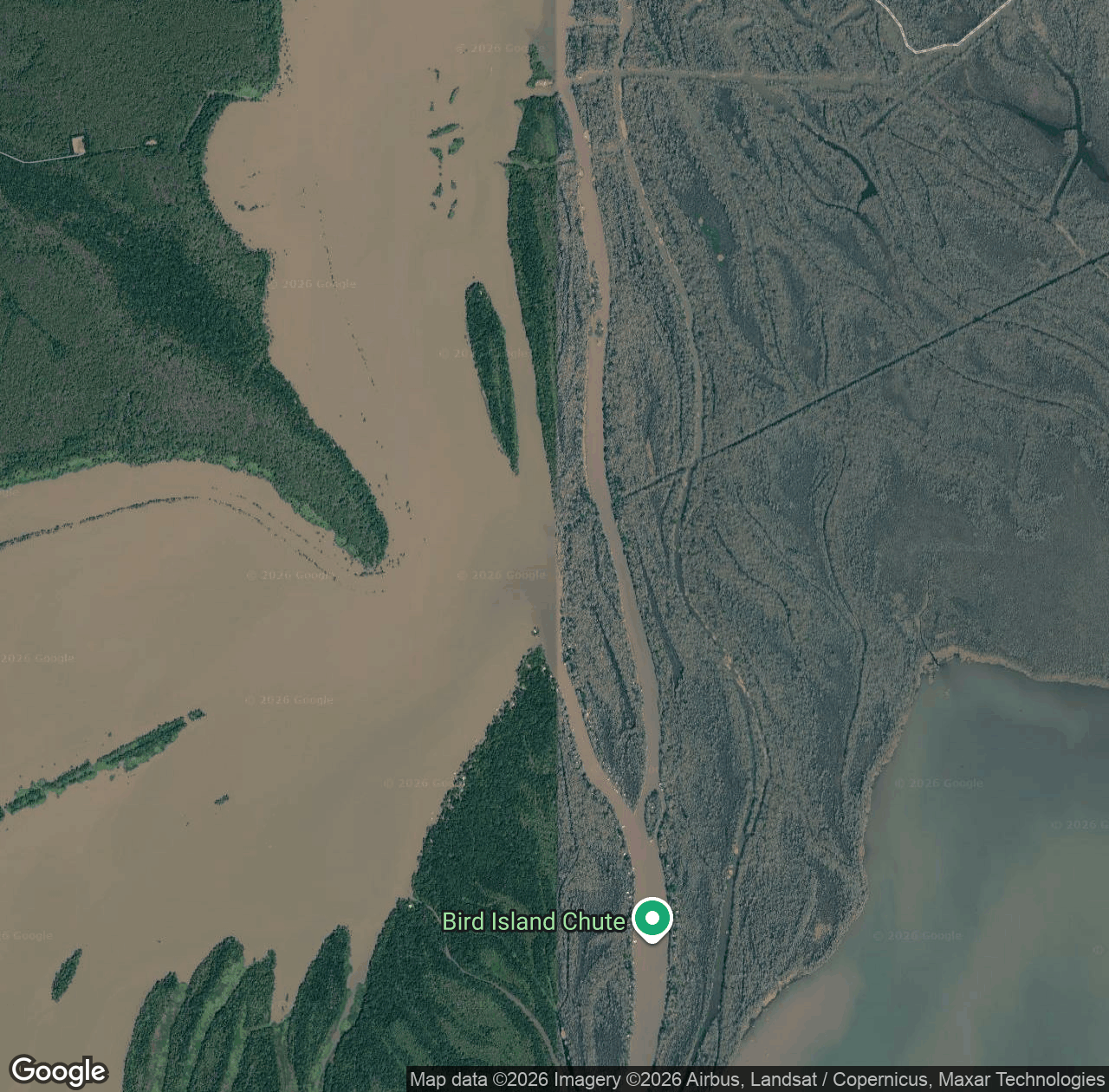 Bird Island Chute