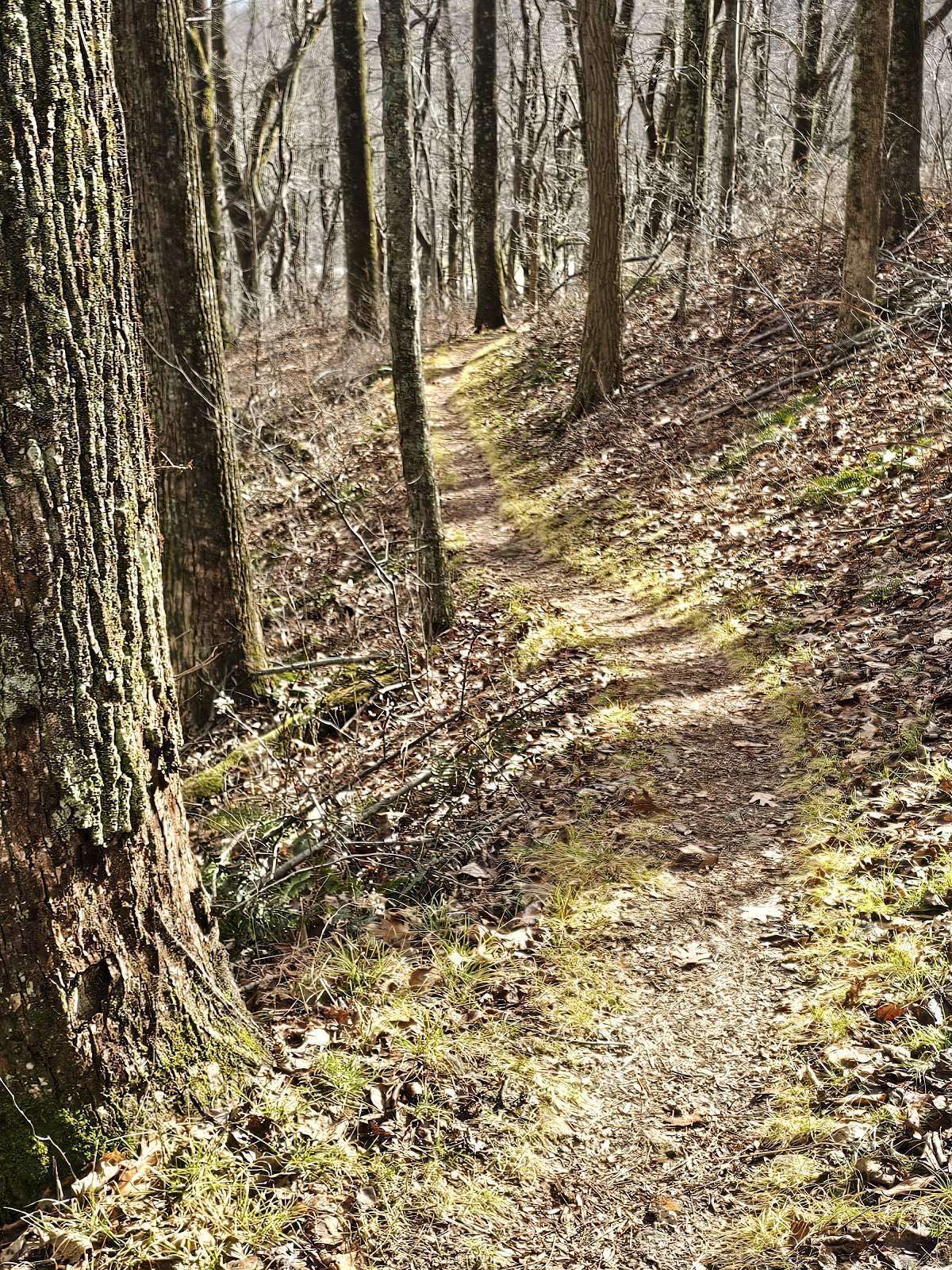 Johnson Trail