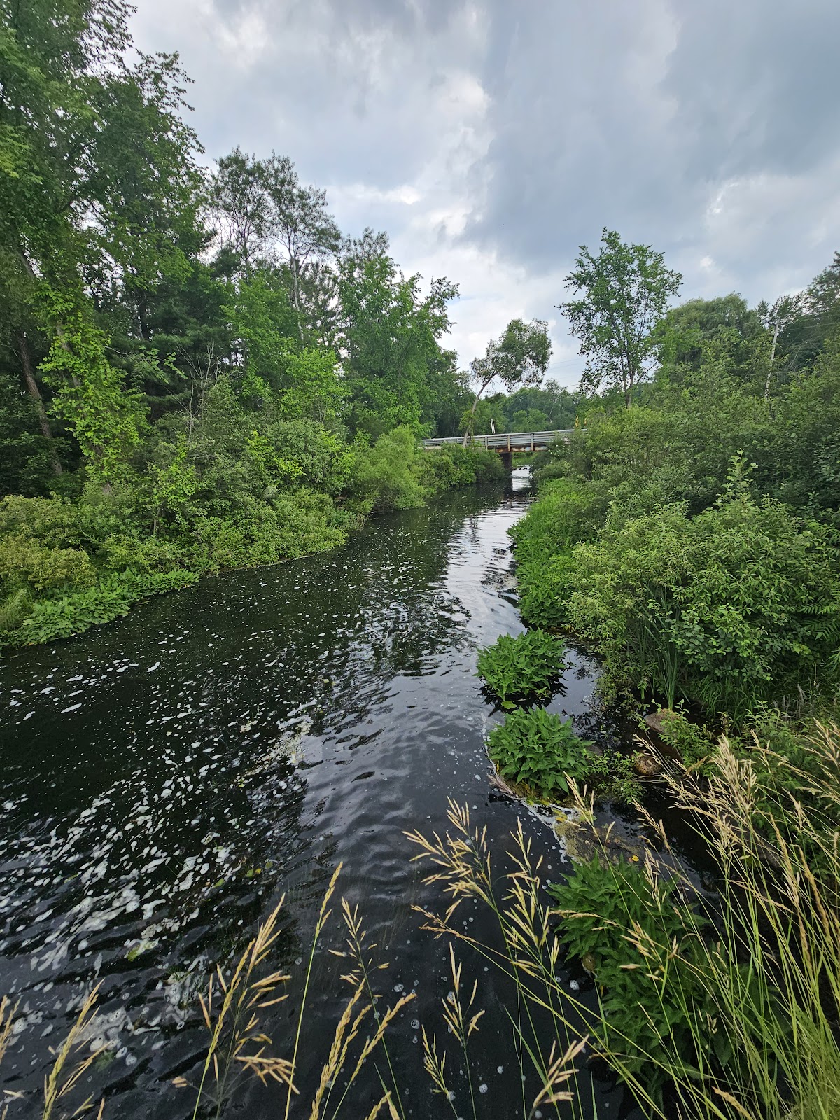 Martiny Lakes State Game Area