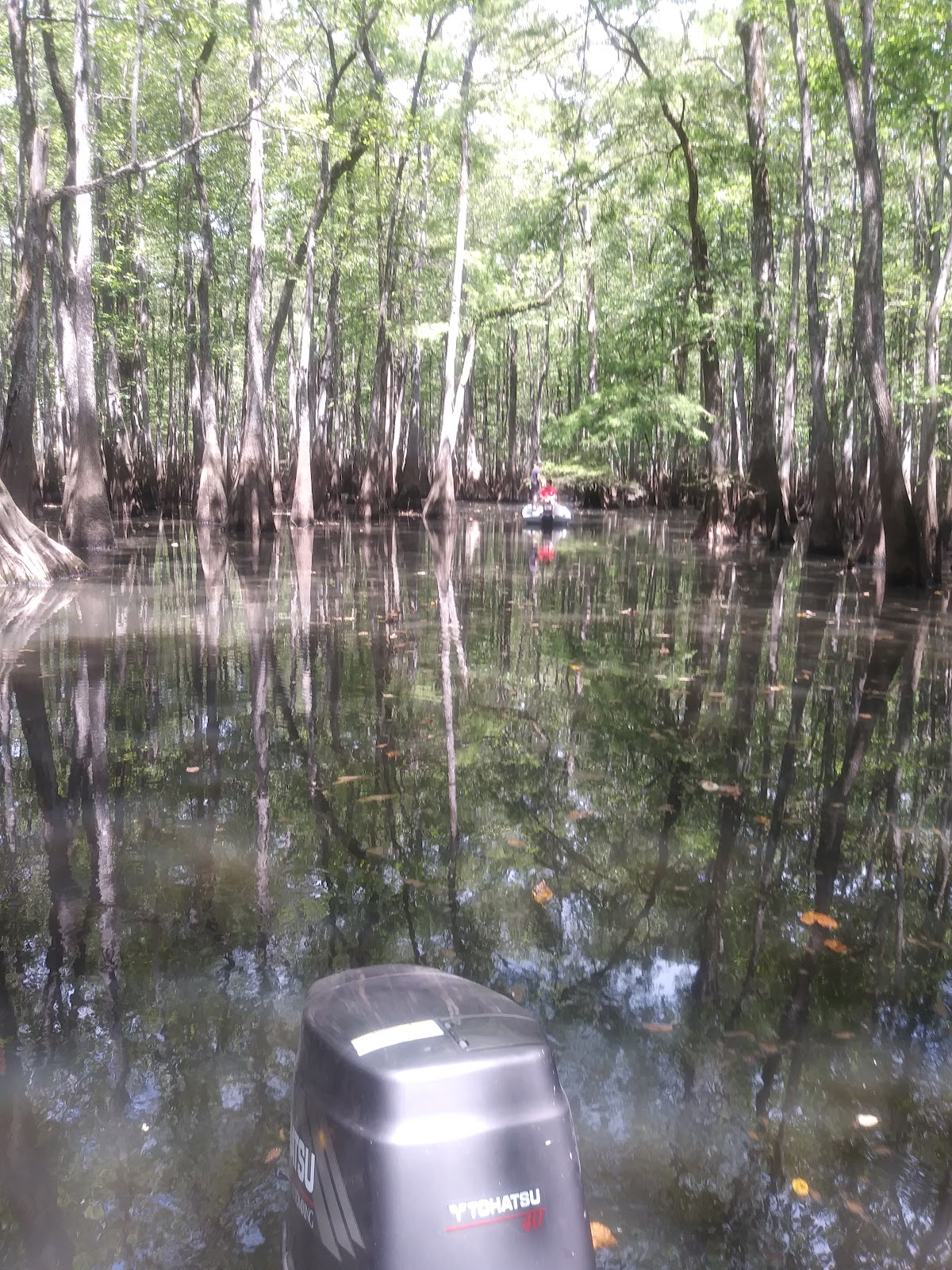 Cocodrie Lake