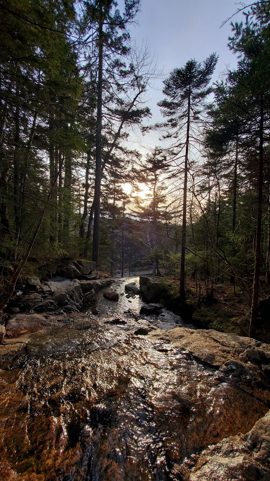Hadlock Brook
