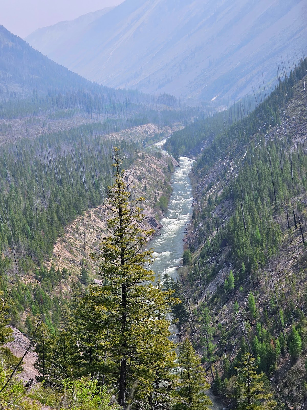 North Fork Blackfoot River