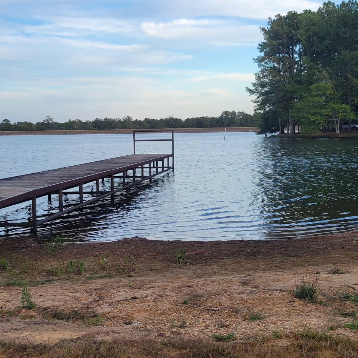 Lake Lincoln Park