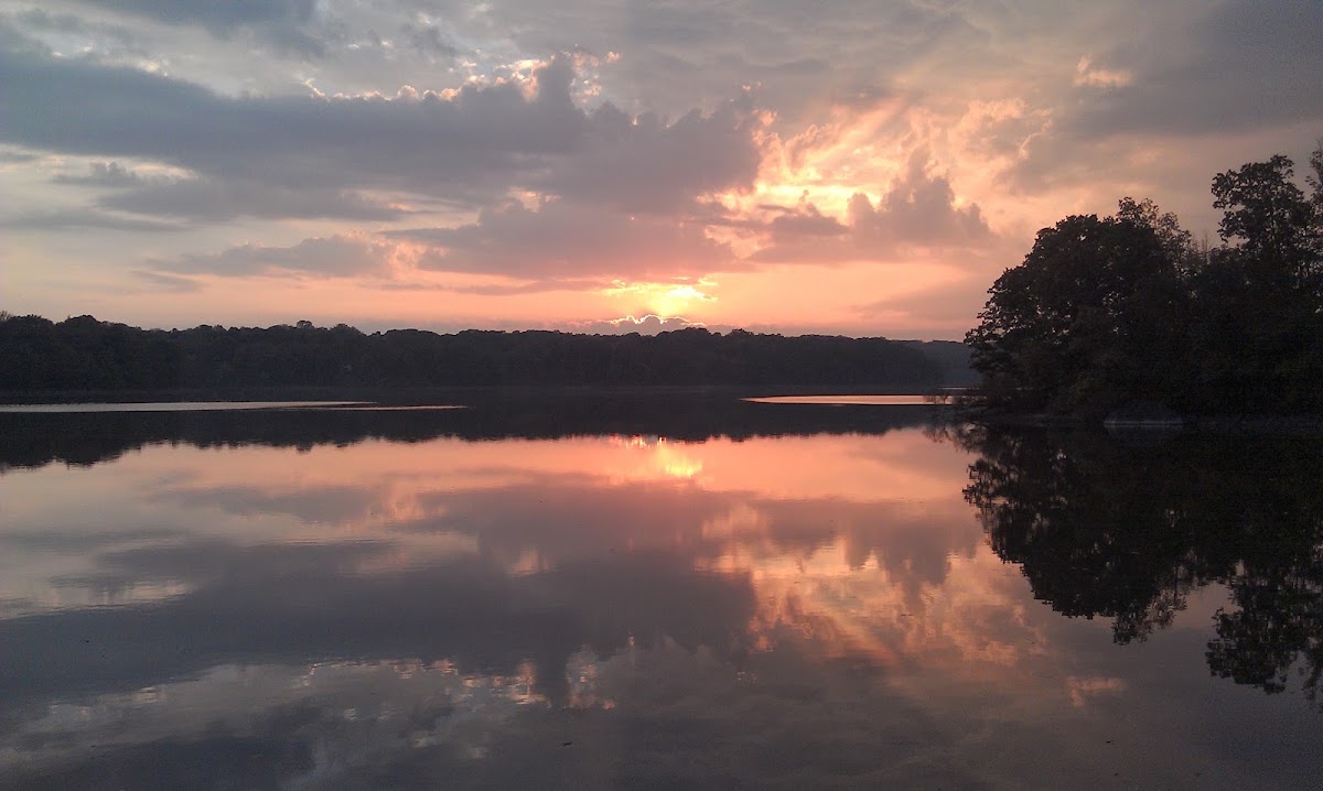 Springton Reservoir