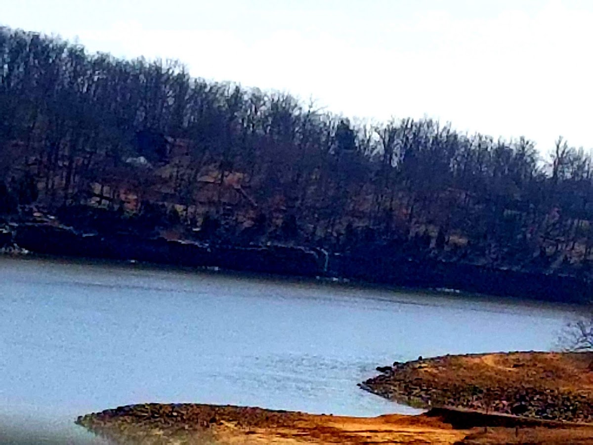 Adams Fork