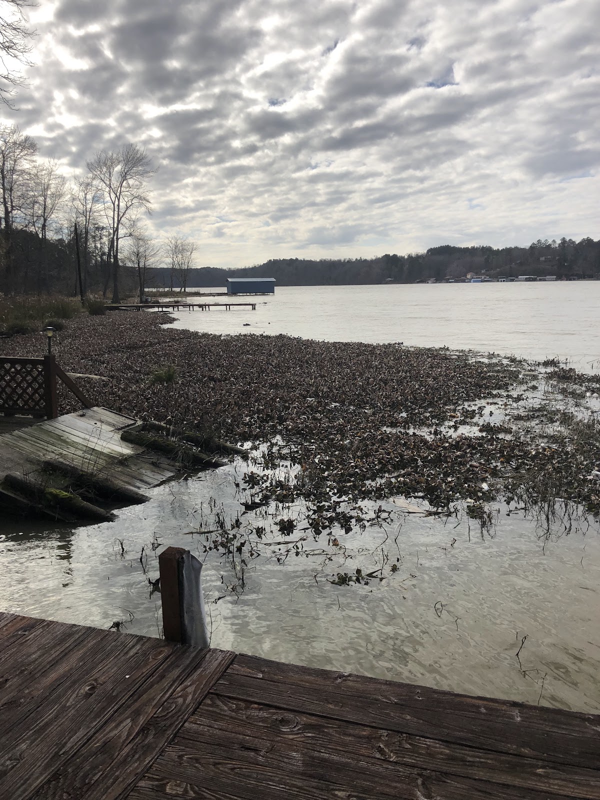 Bankhead Lake