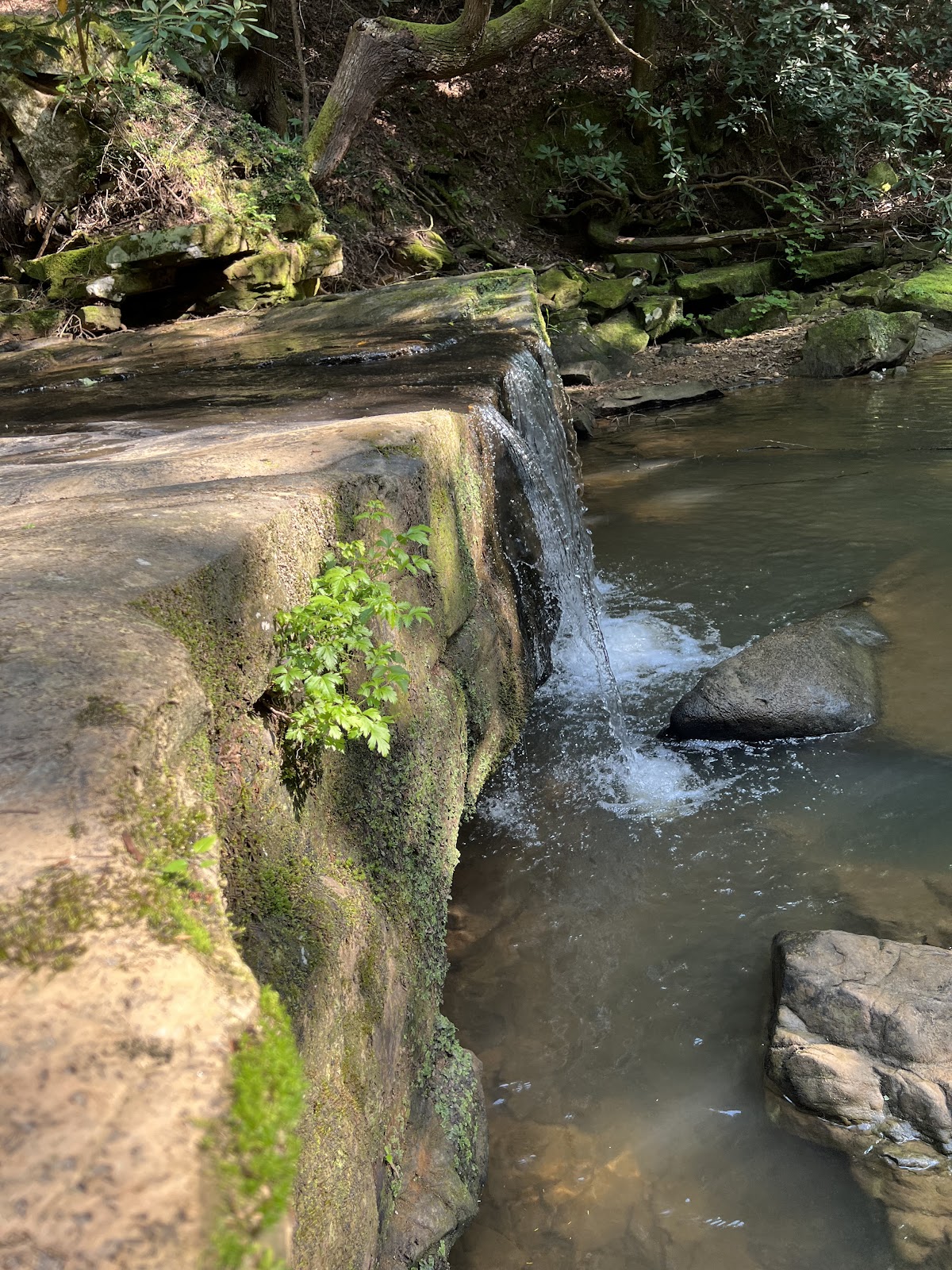 Horse Lick Creek