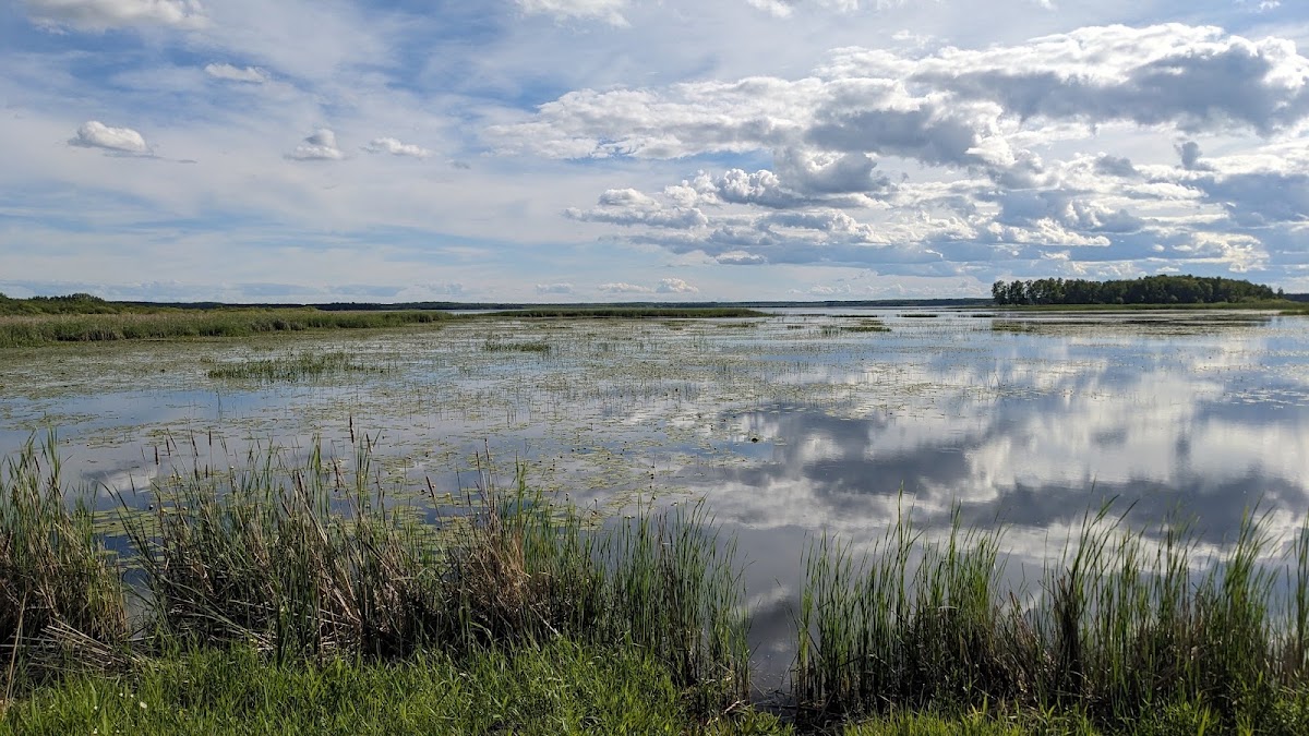 Wild Rice Lake Reservoir