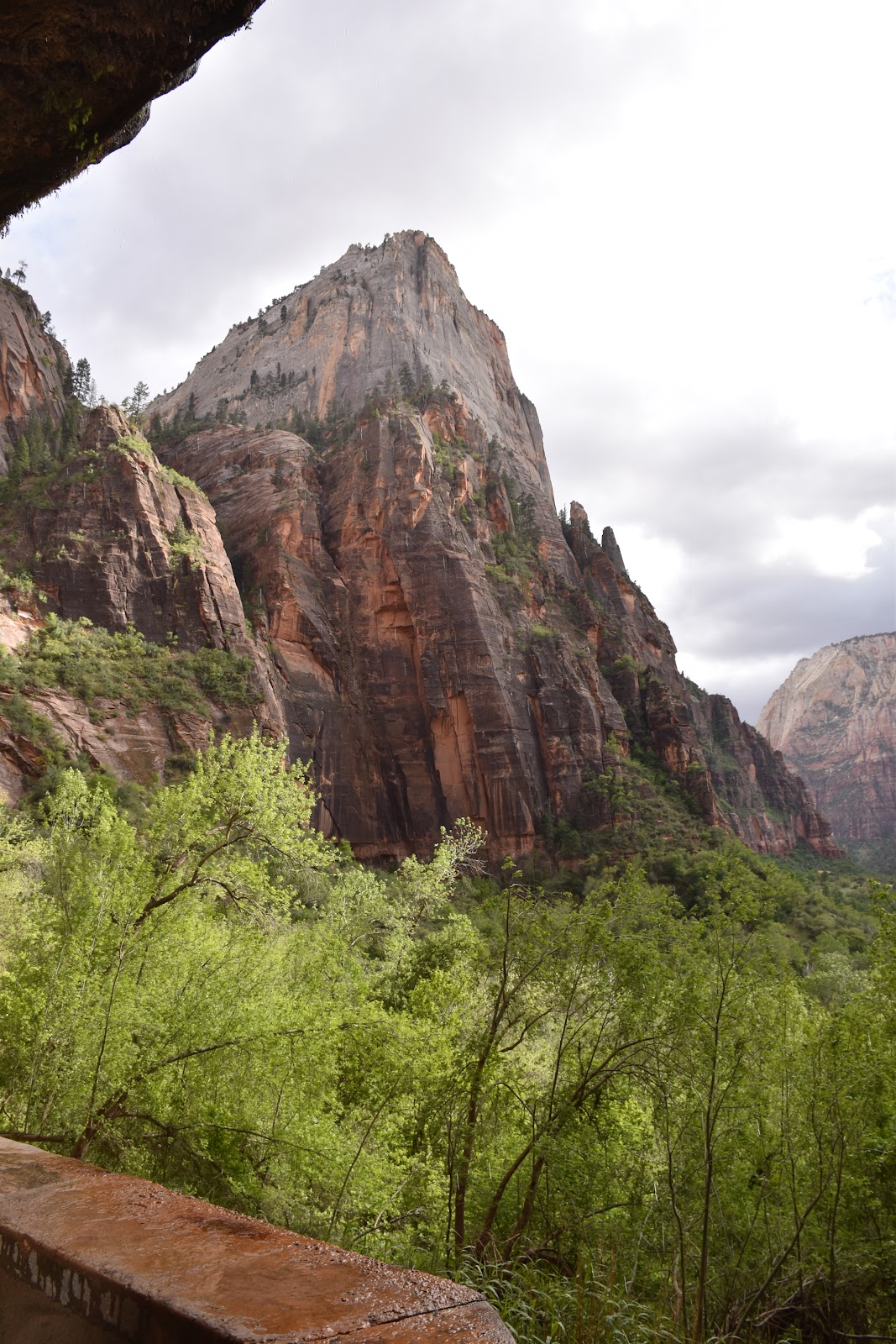 Weeping Rock Trail