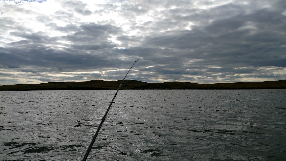 Alkaline Lake