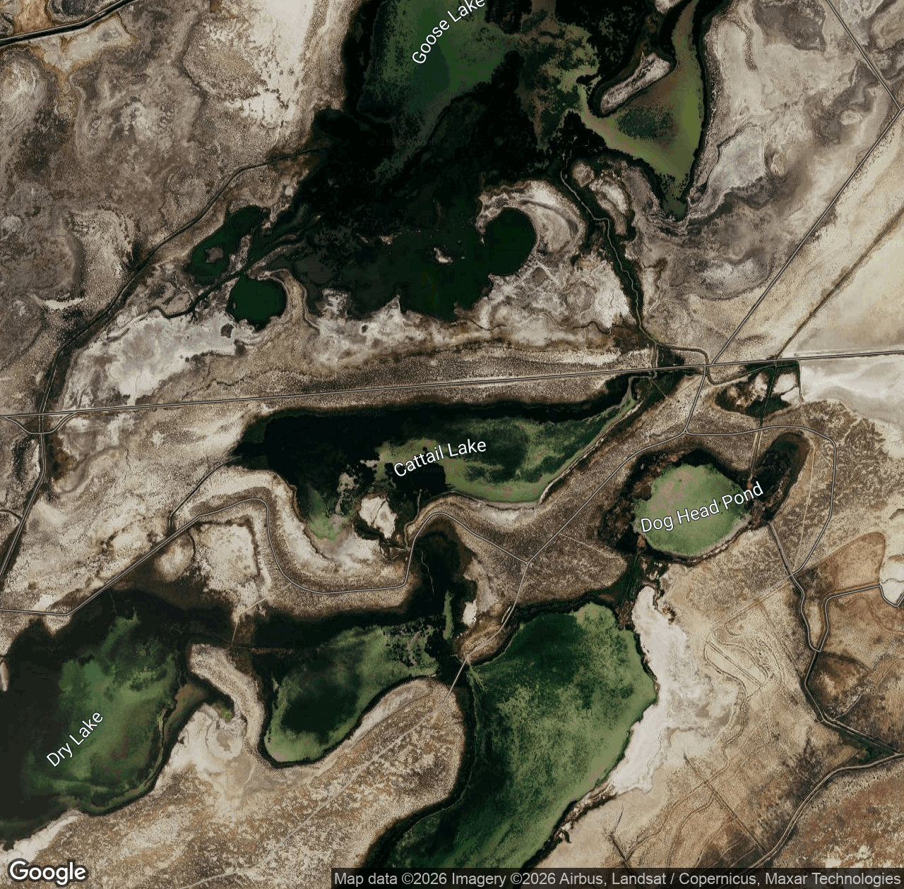 Cattail Lake