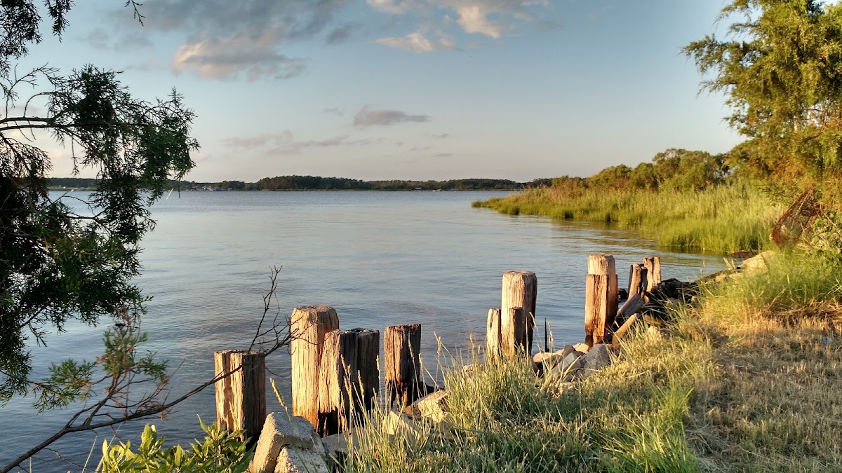 Wicomico River