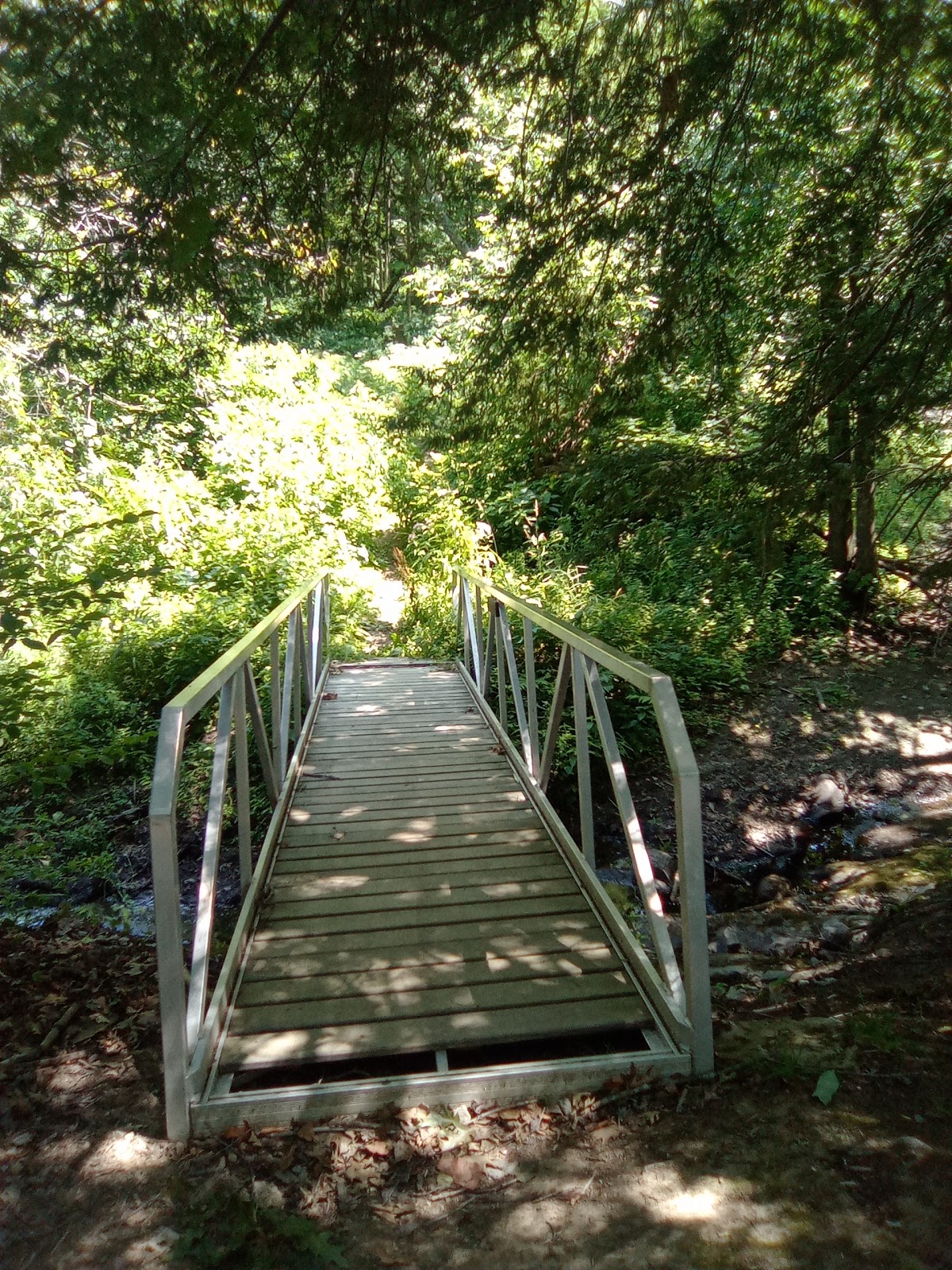 Connor Mill Trail