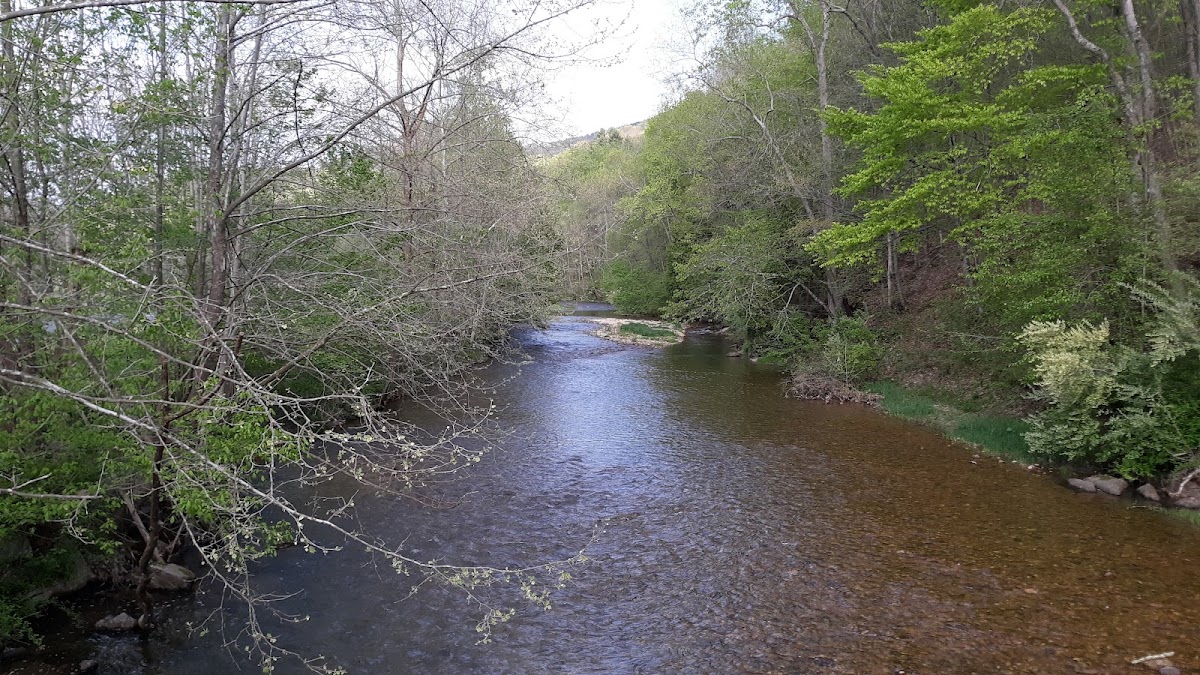 Cowpasture River