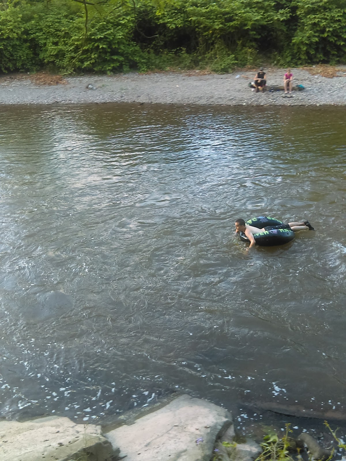 West Branch Delaware River