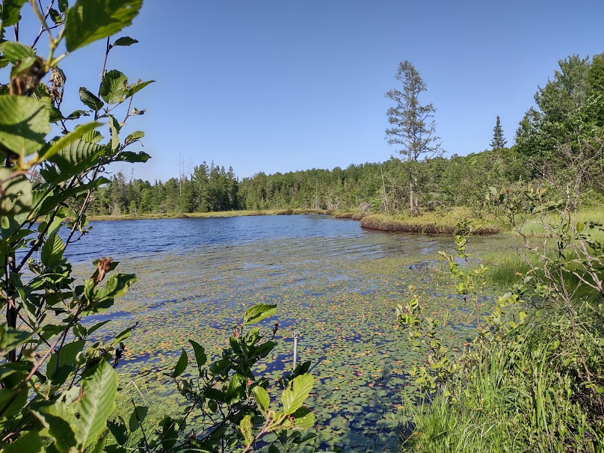 Summit Lake