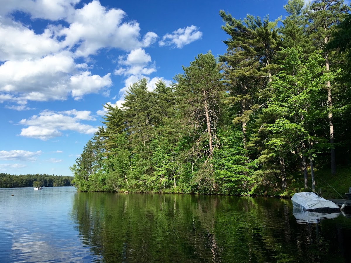 Balch Pond