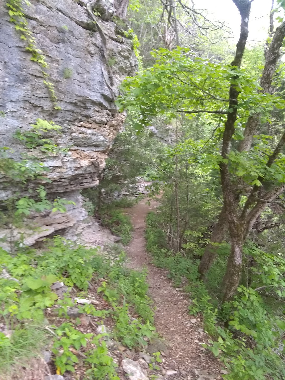 Buffalo River Trail
