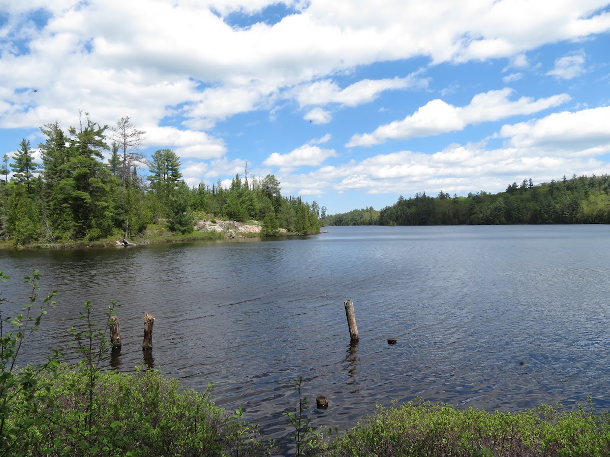 White Deer Lake