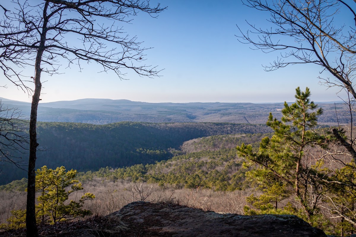 Redding Loop