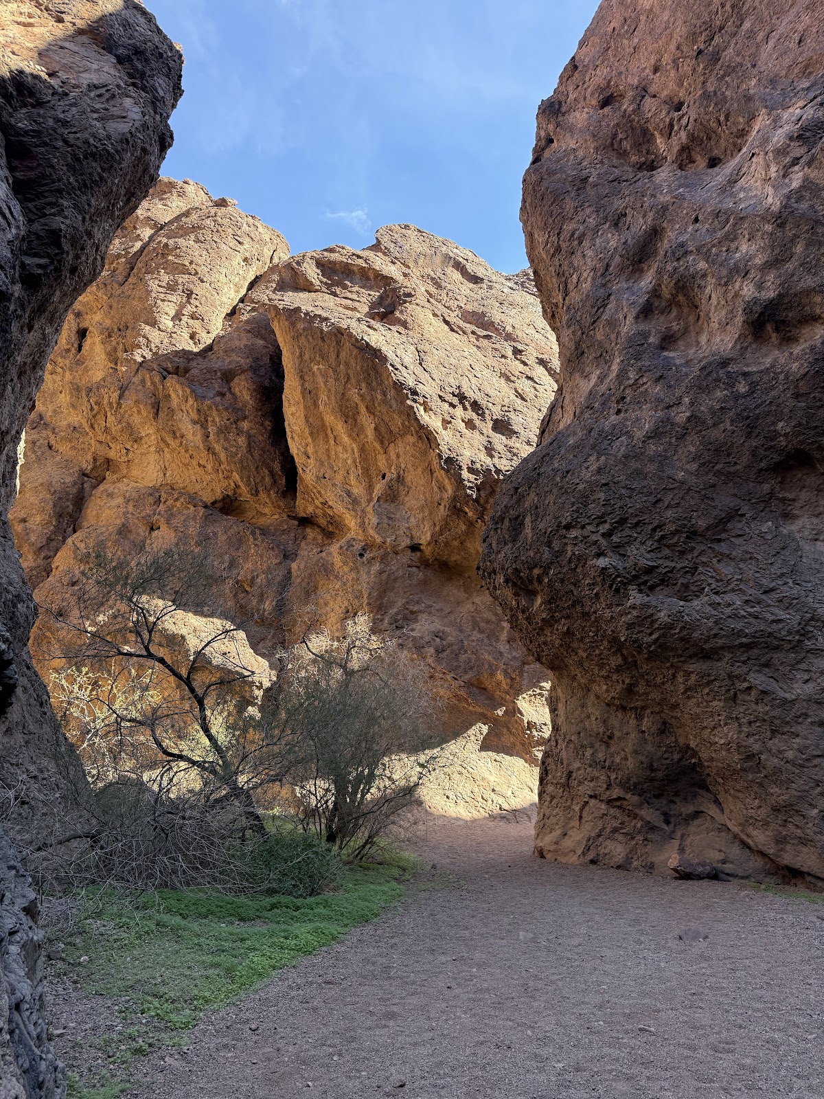 Trailhead Parking