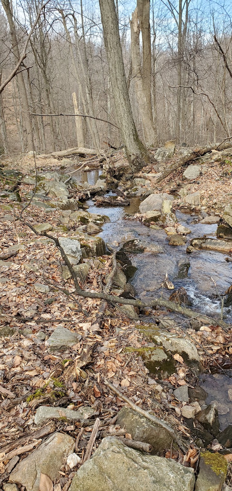 Robert A. Kinsley Nature Preserve