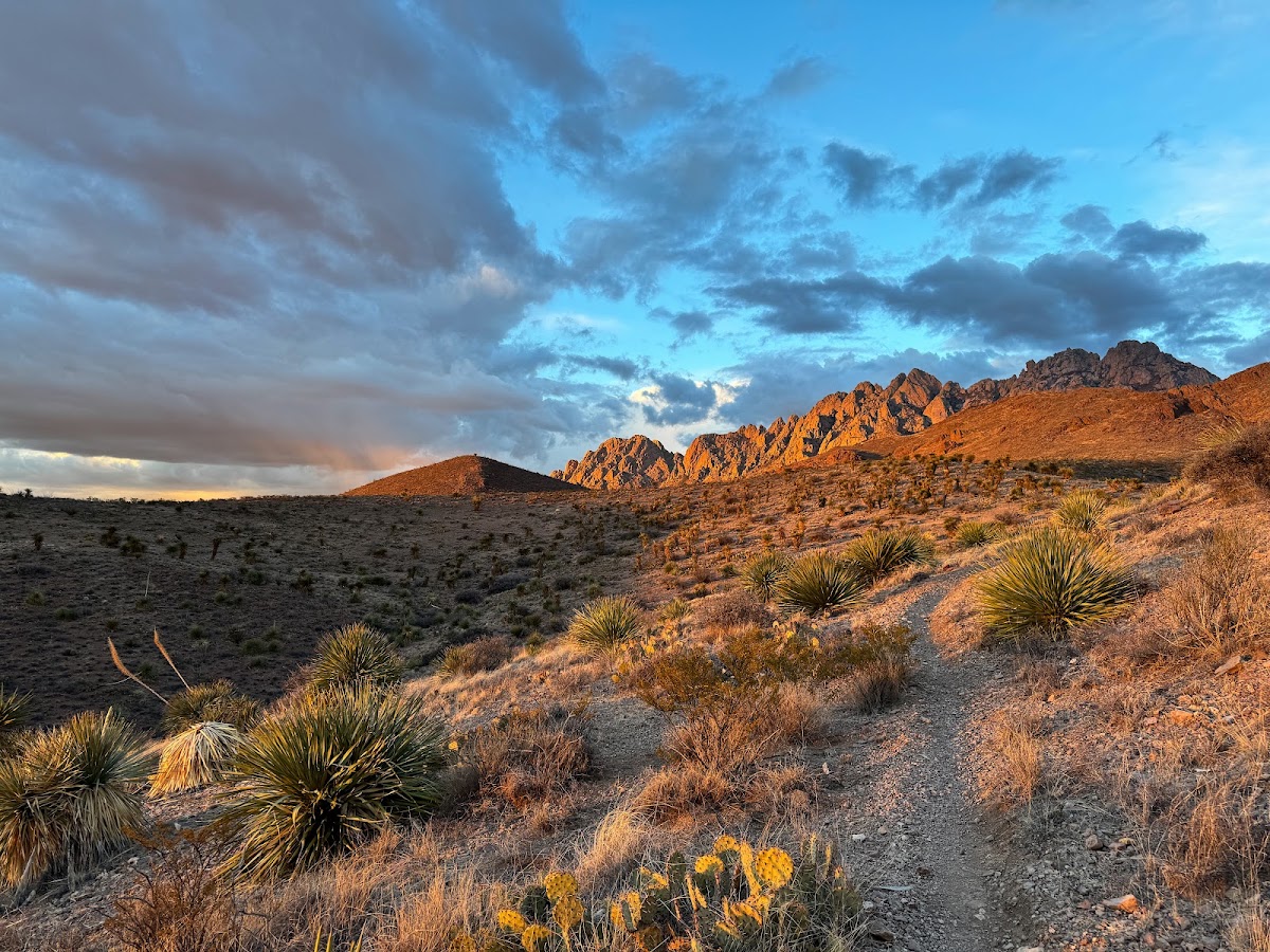 Sierra Vista Trail