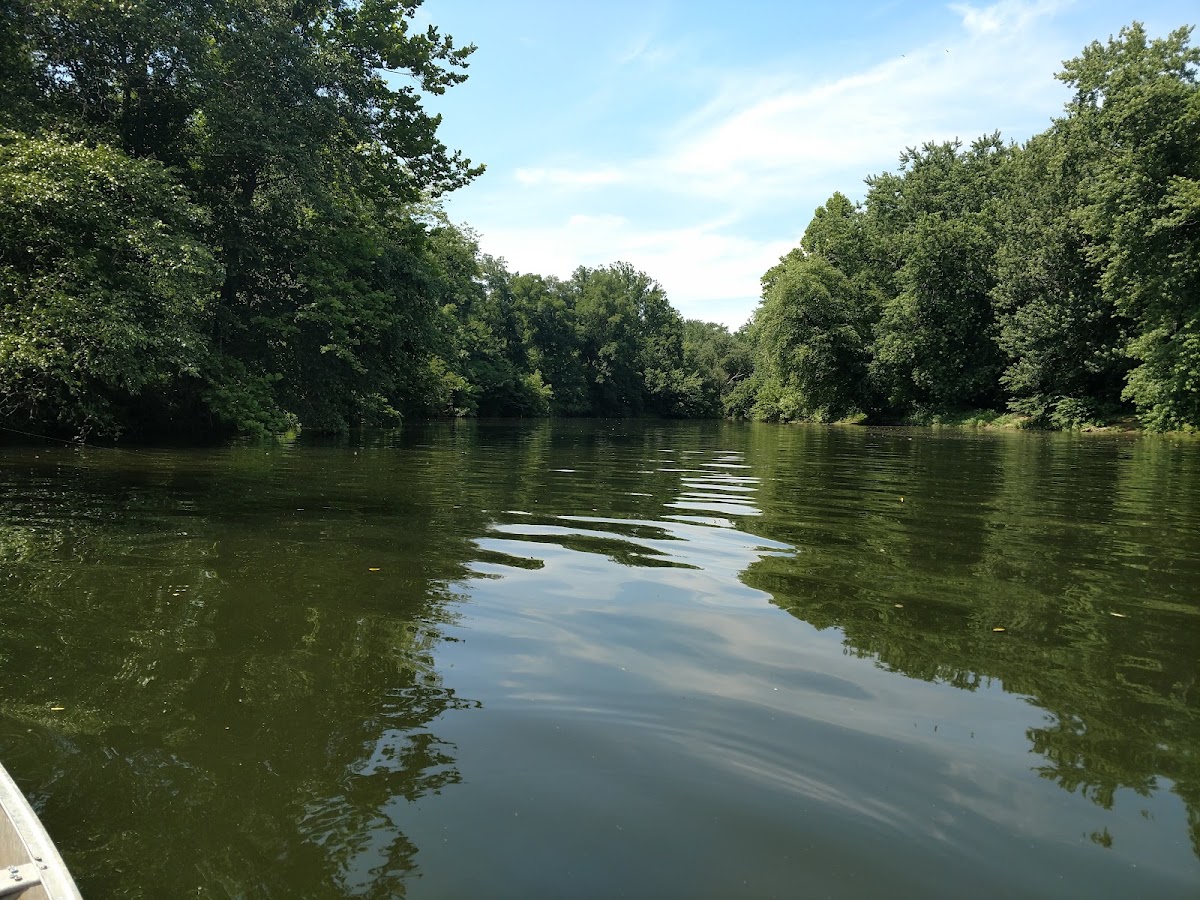 Octoraro Creek