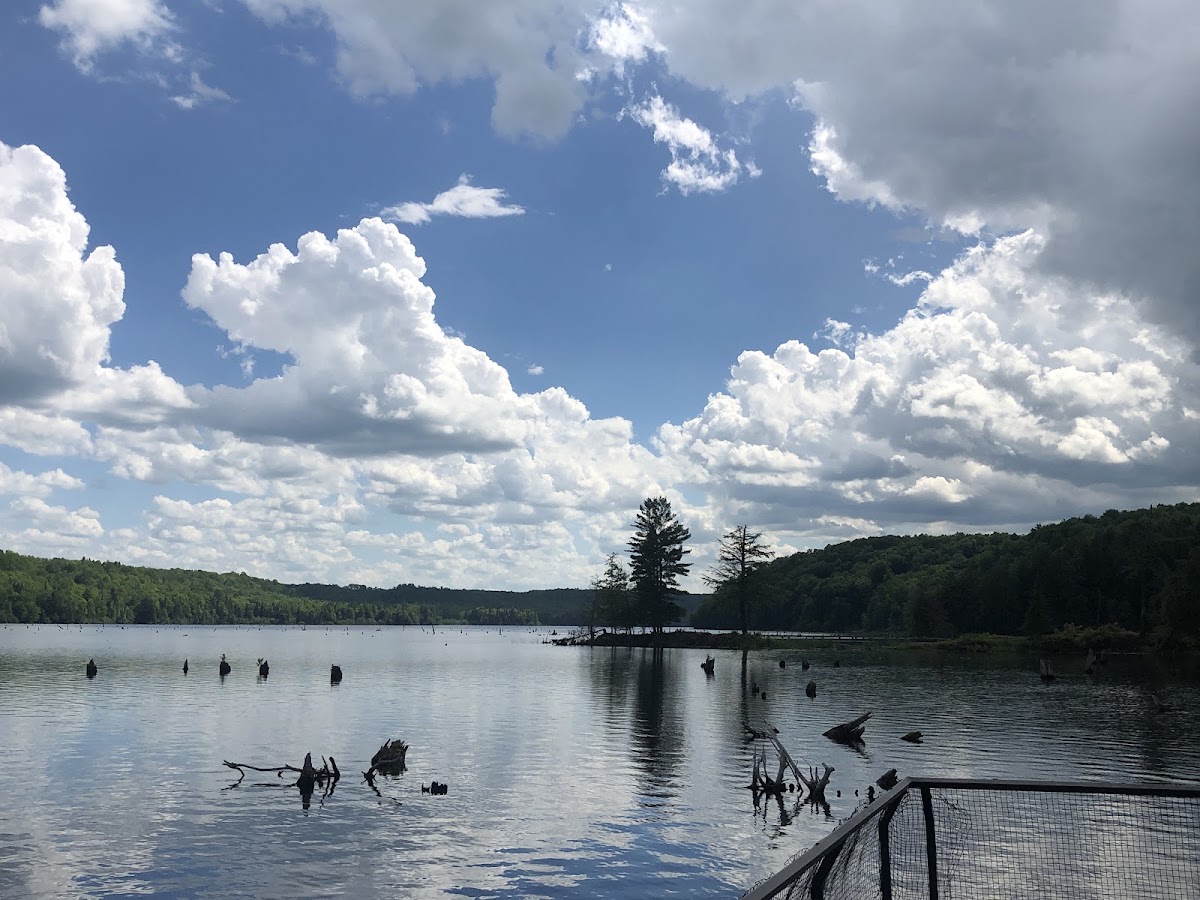 Prickett Lake