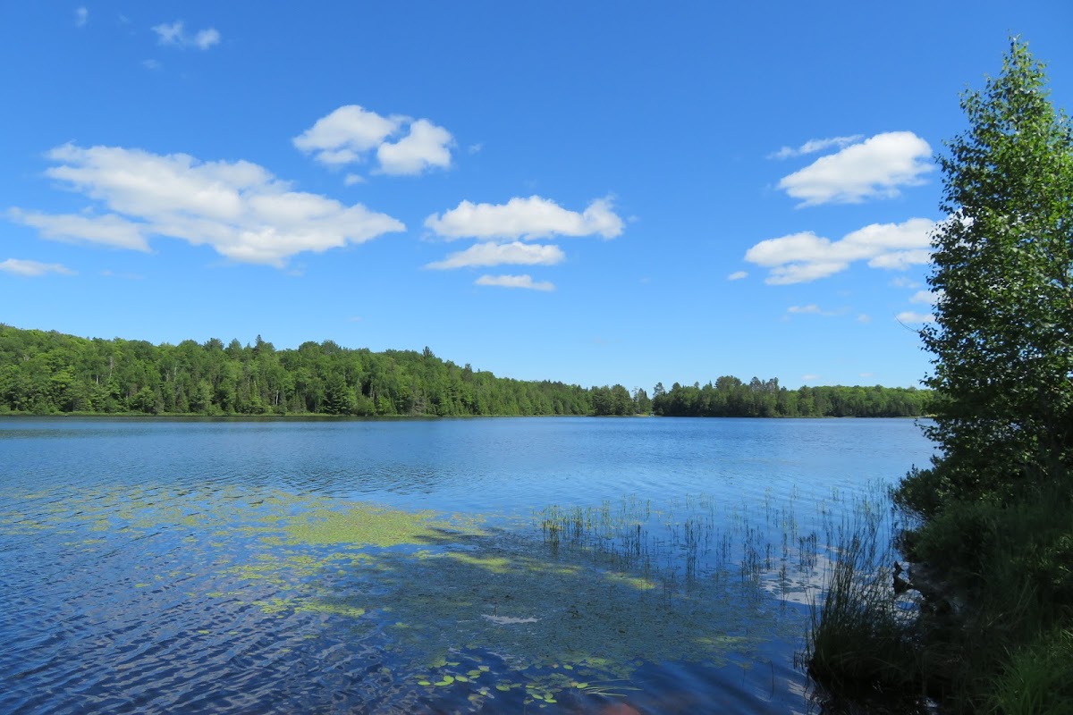 Allen Lake
